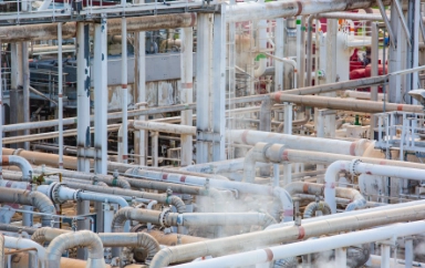 Fertilizer,
                                            Petrochemical & power plants